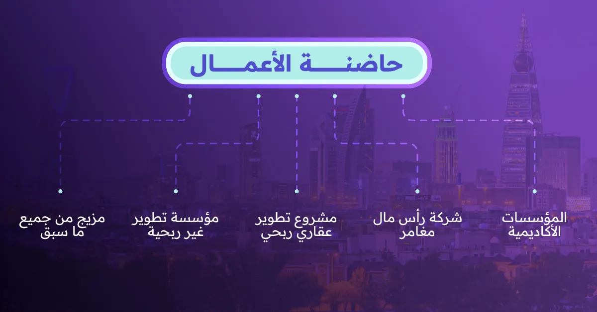 أنواع حاضنات الأعمال